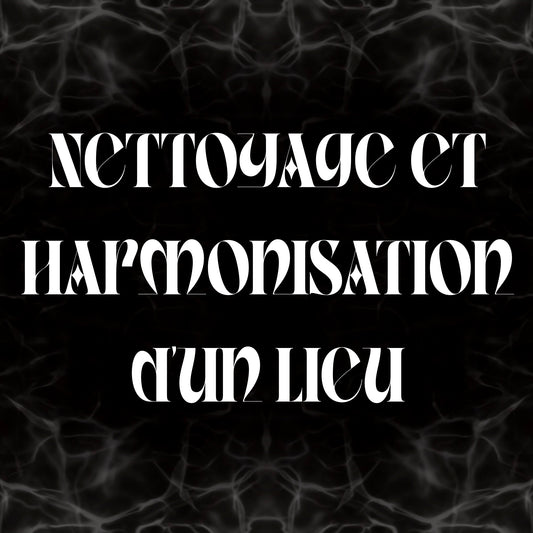 Nettoyage et Harmonisation d’un Lieu